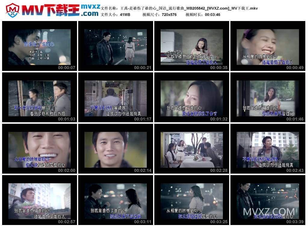 王禹-是谁伤了谁的心_国语_流行歌曲_MB205842